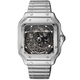 Santos Mod - Skeleton